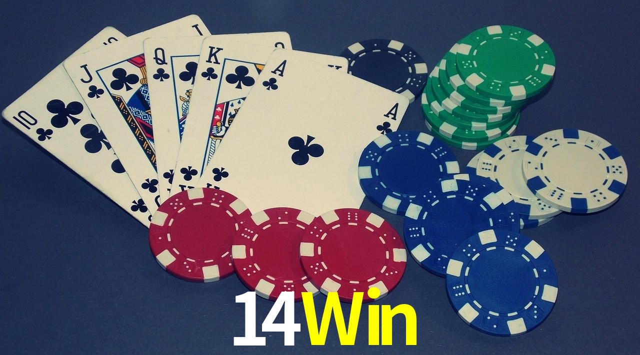 Game Statistics 14Win